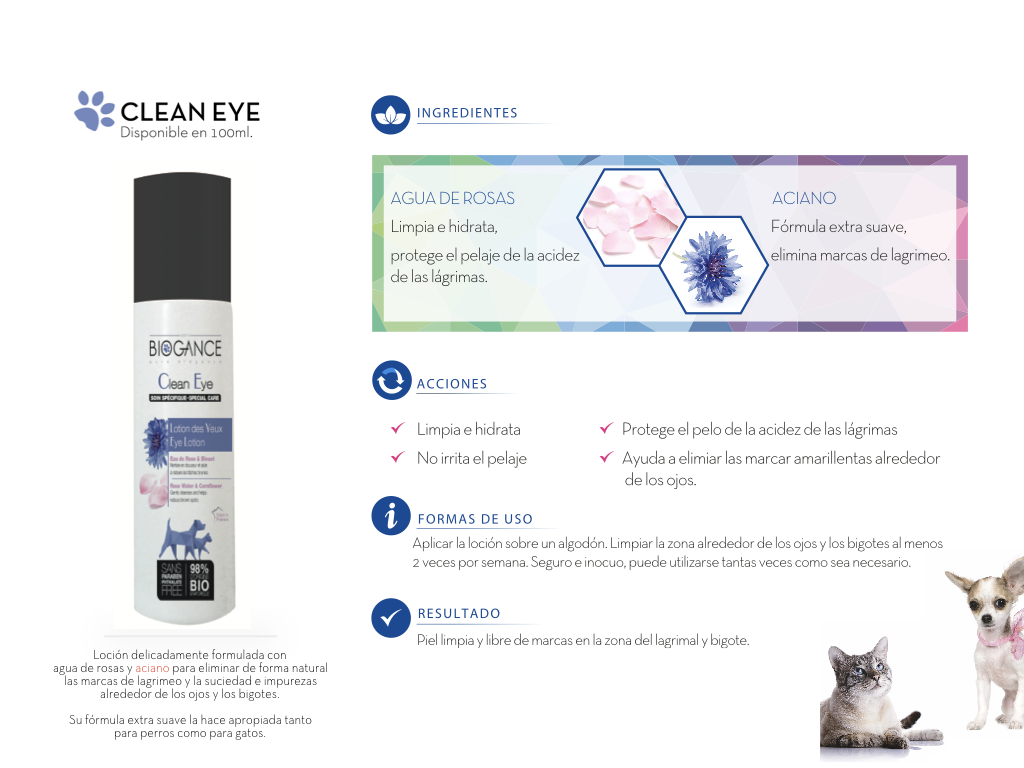 Clean-Eye-interior Clean-Eye-interior