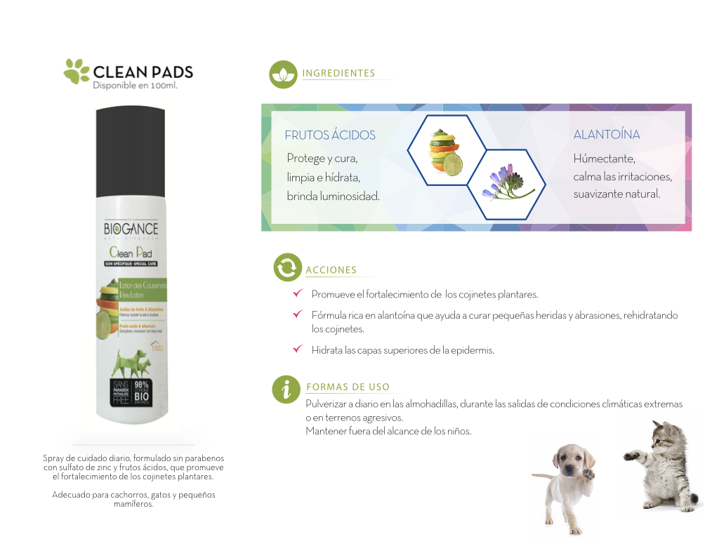 Clean-Pads-interior Clean-Pads-interior