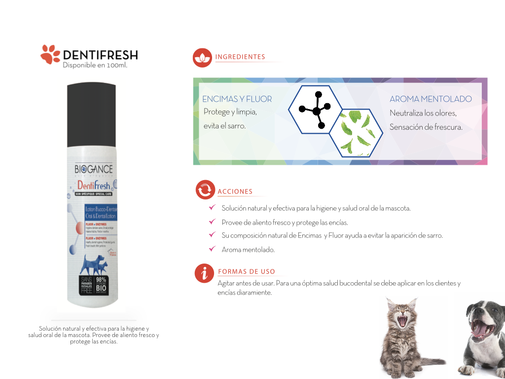 Dentifresh-interior Dentifresh-interior