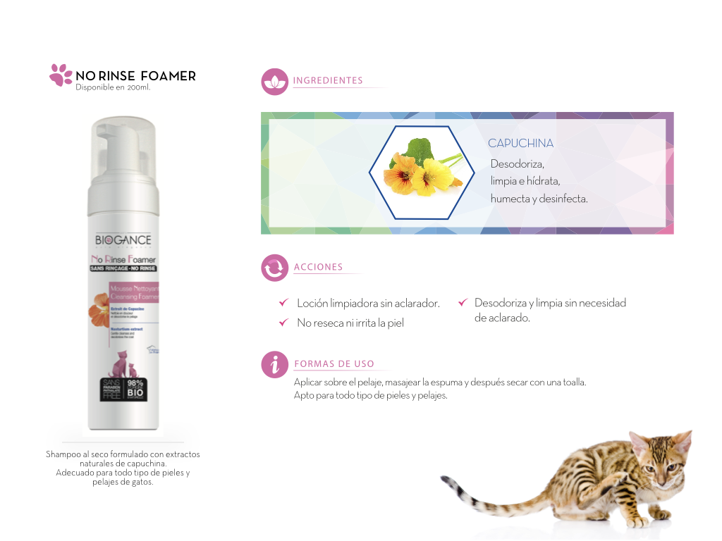 Foamer-No-Rinse-Cat-interior Foamer-No-Rinse-Cat-interior