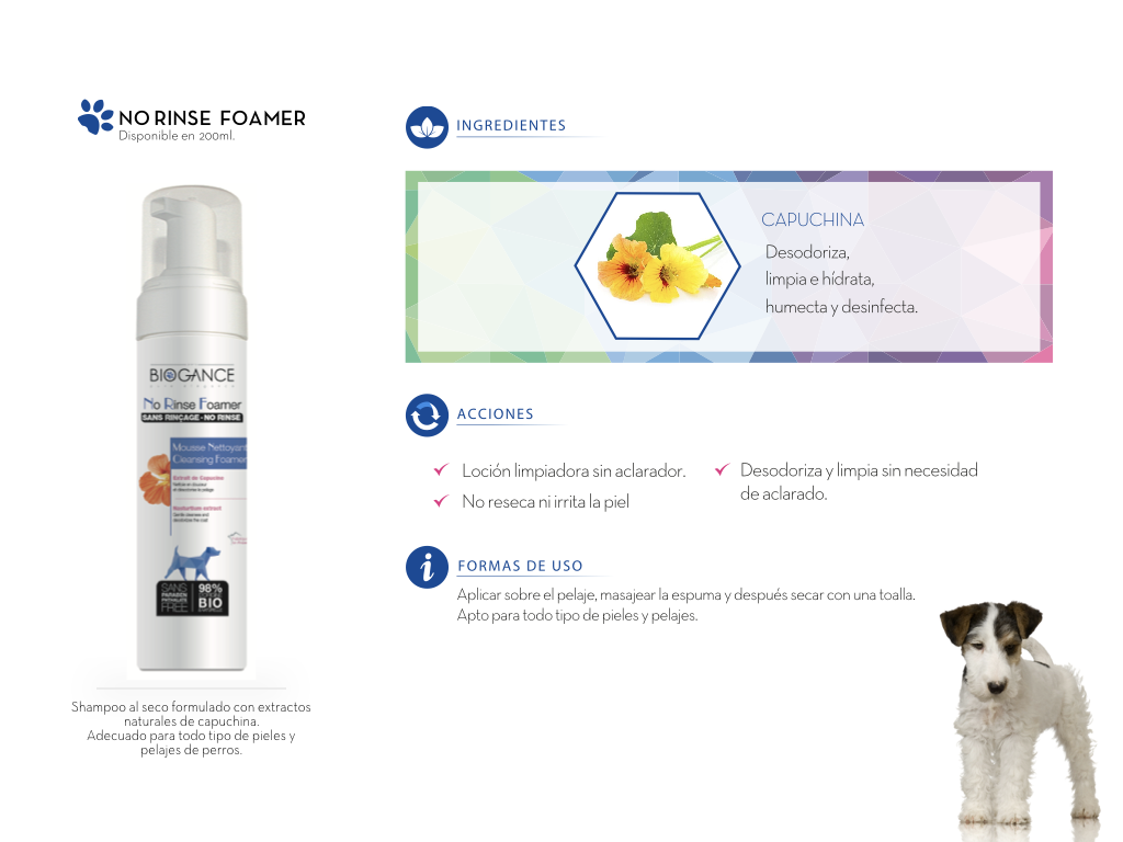 Foamer-No-Rinse-interior Foamer-No-Rinse-interior