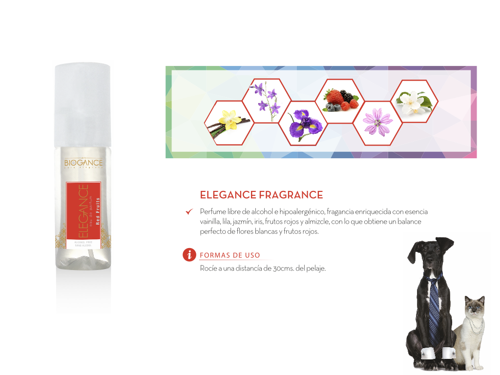 Perfume-Elegance-interior Perfume-Elegance-interior