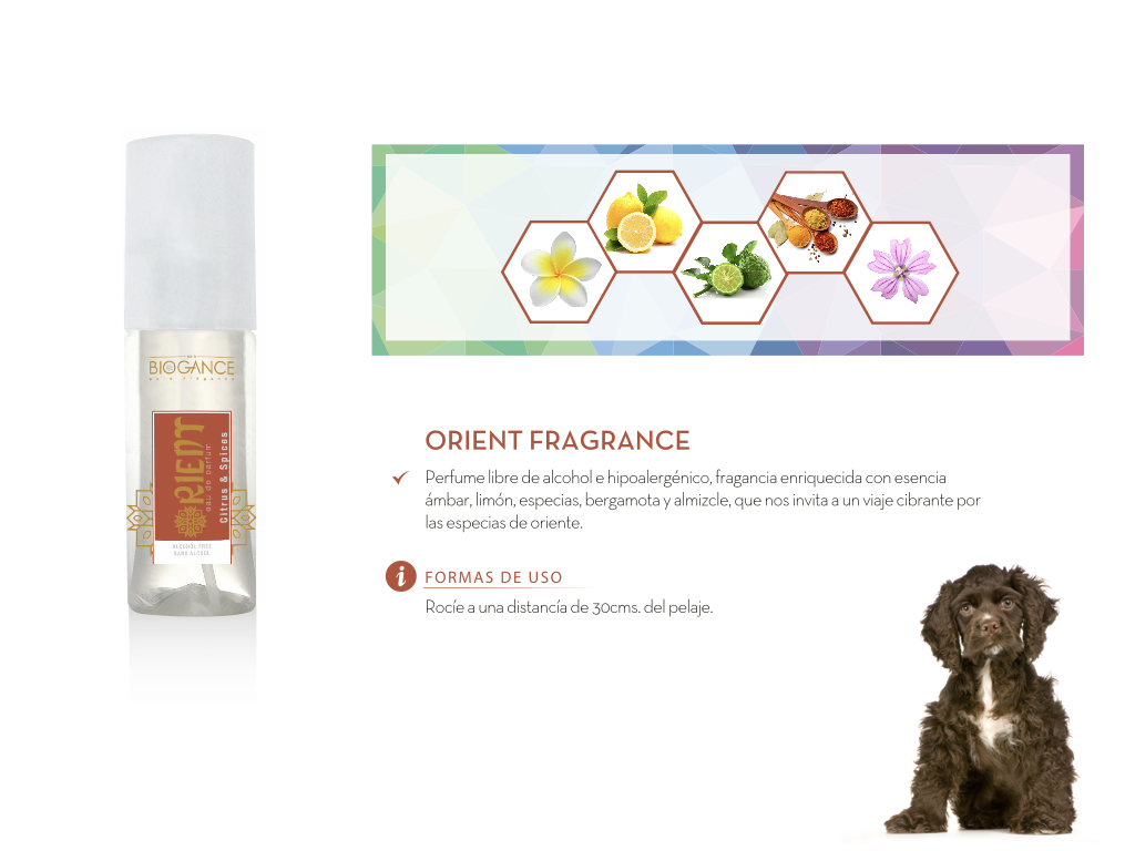 Perfume-Orient-interior Perfume-Orient-interior