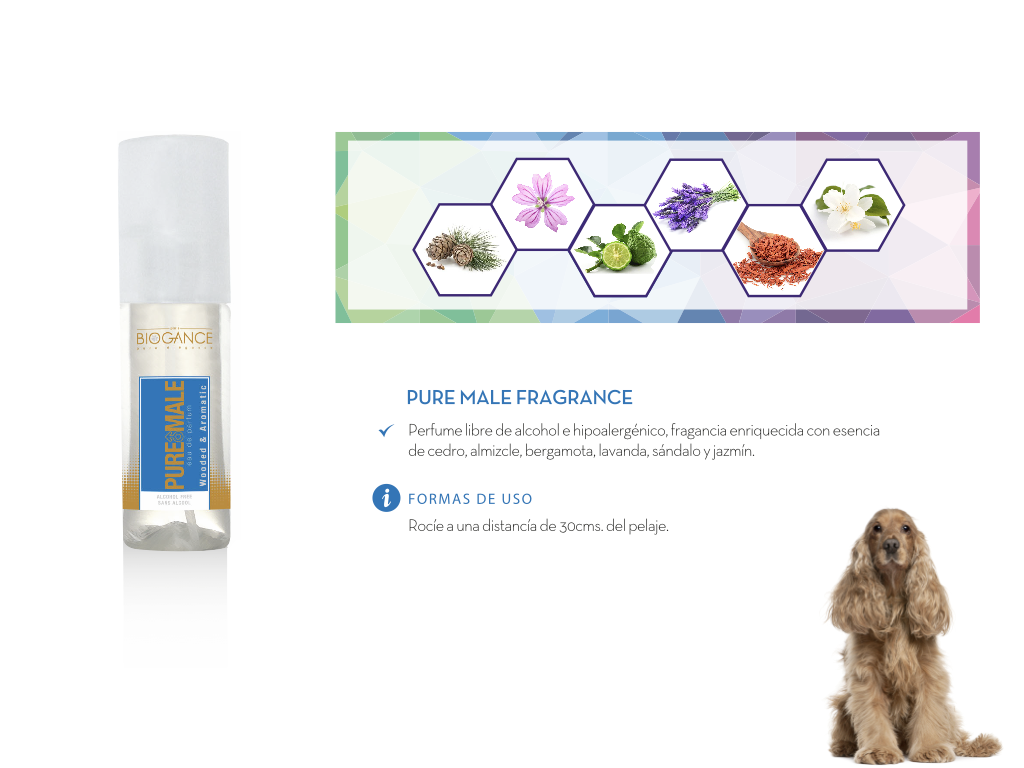 Perfume-Pure-Male-interior Perfume-Pure-Male-interior