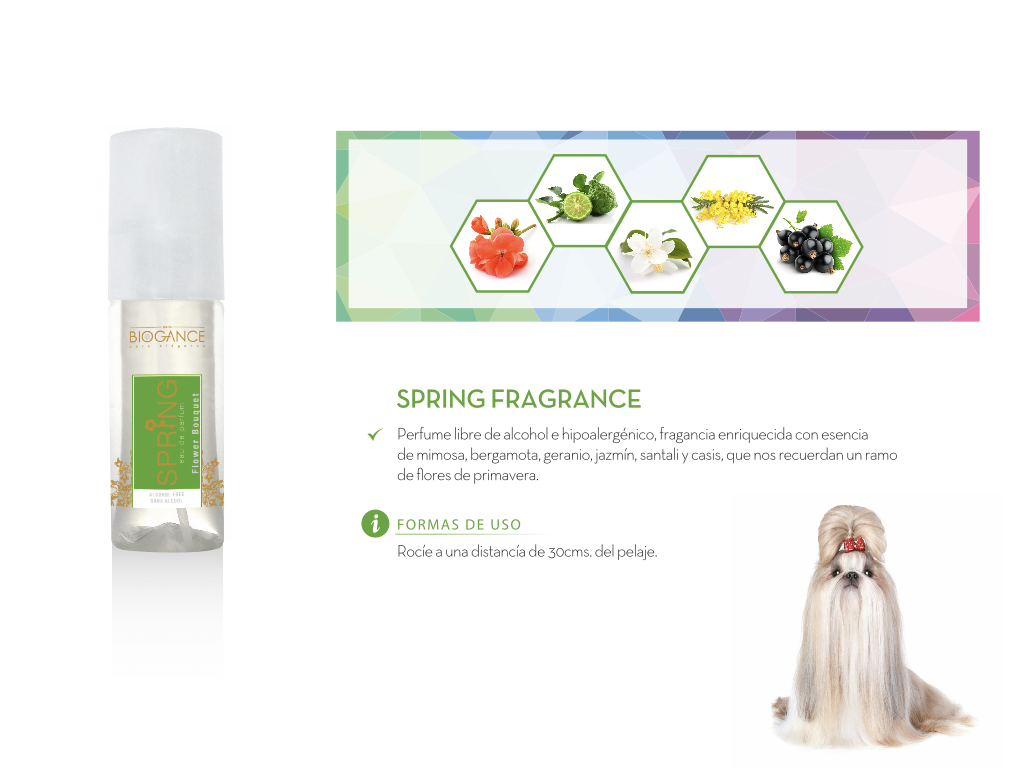 Perfume-Spring-interior Perfume-Spring-interior
