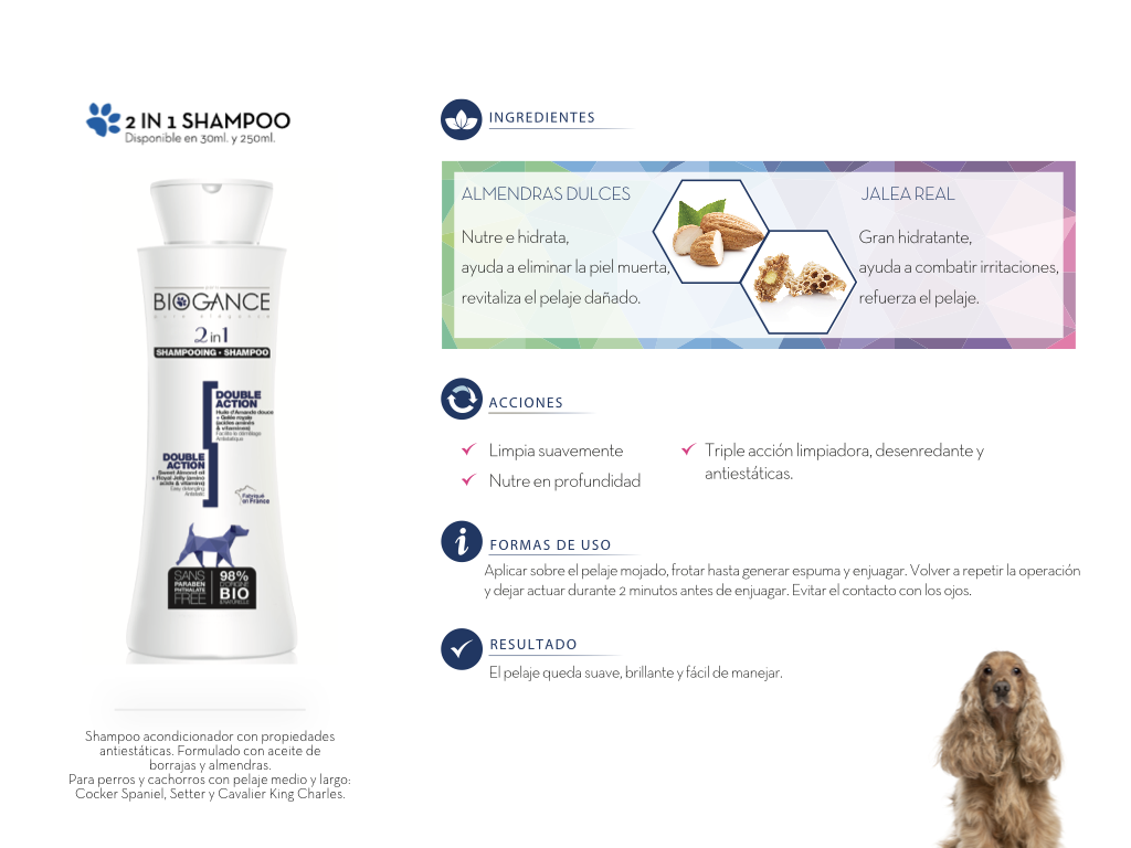 Shampoo-2-in-1-interior Shampoo-2-in-1-interior