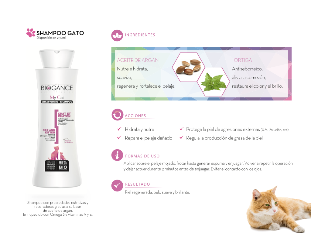 Shampoo-My-Cat-interior Shampoo-My-Cat-interior