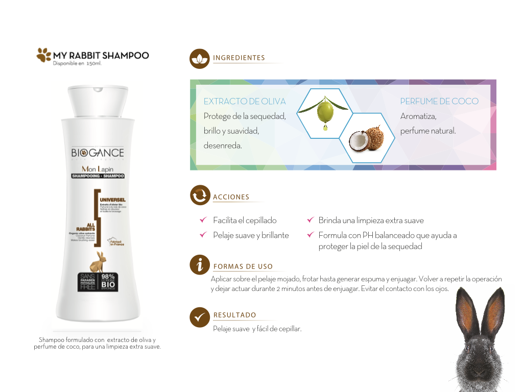 Shampoo-My-Rabbit-interior Shampoo-My-Rabbit-interior