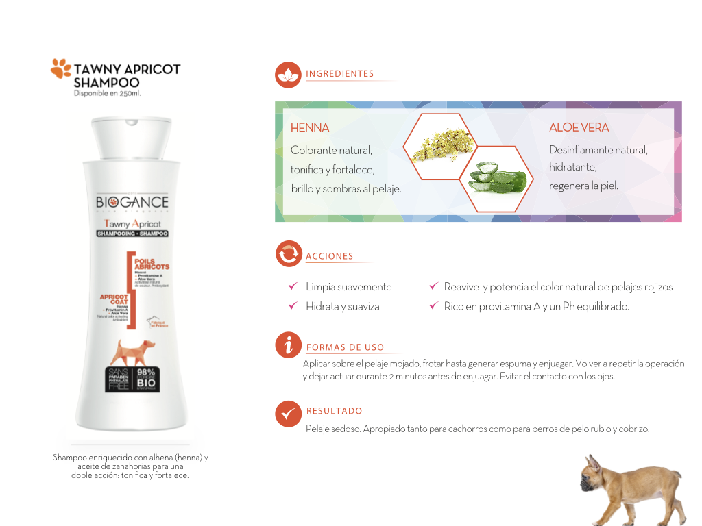 Shampoo-Tawny-Apricot-interior Shampoo-Tawny-Apricot-interior