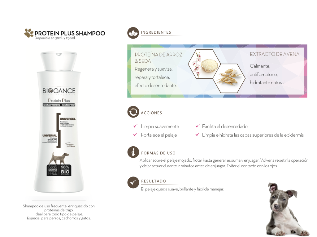 Shampoo-protein-plus-interior Shampoo-protein-plus-interior